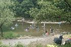 河原での水遊び