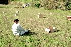 老人と犬