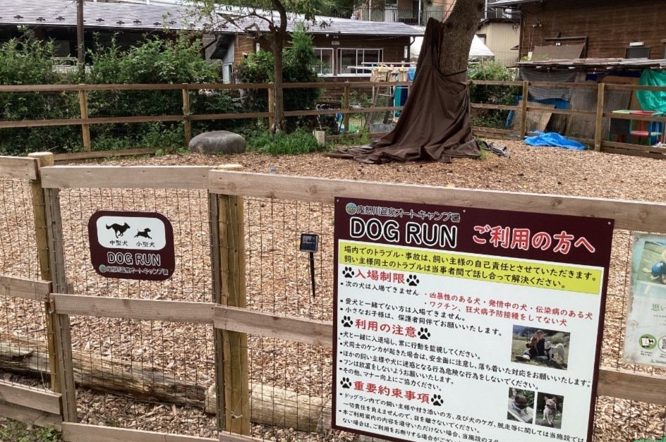 老人と犬