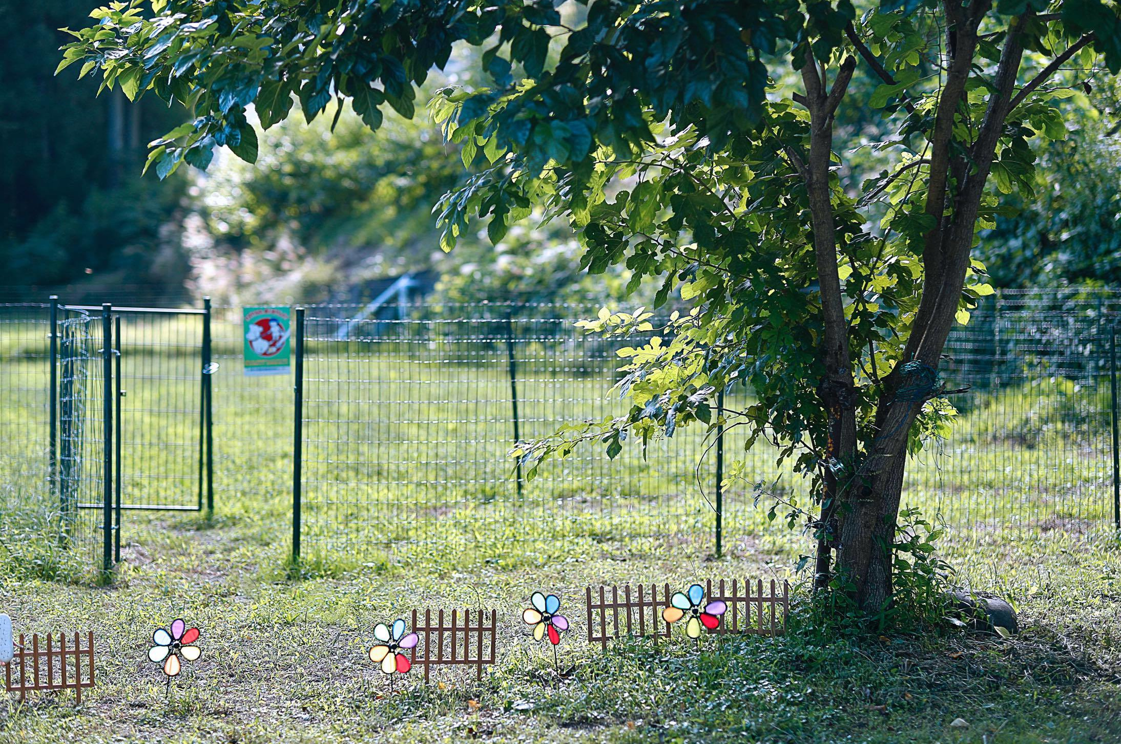 Home 鬼怒川温泉オートキャンプ場 栃木県日光市鬼怒川のオートキャンプ バンガロー レンタルハウス つり堀 温泉 Home 鬼怒川温泉オートキャンプ場 栃木県日光市鬼怒川のオートキャンプ バンガロー レンタルハウス つり堀 温泉
